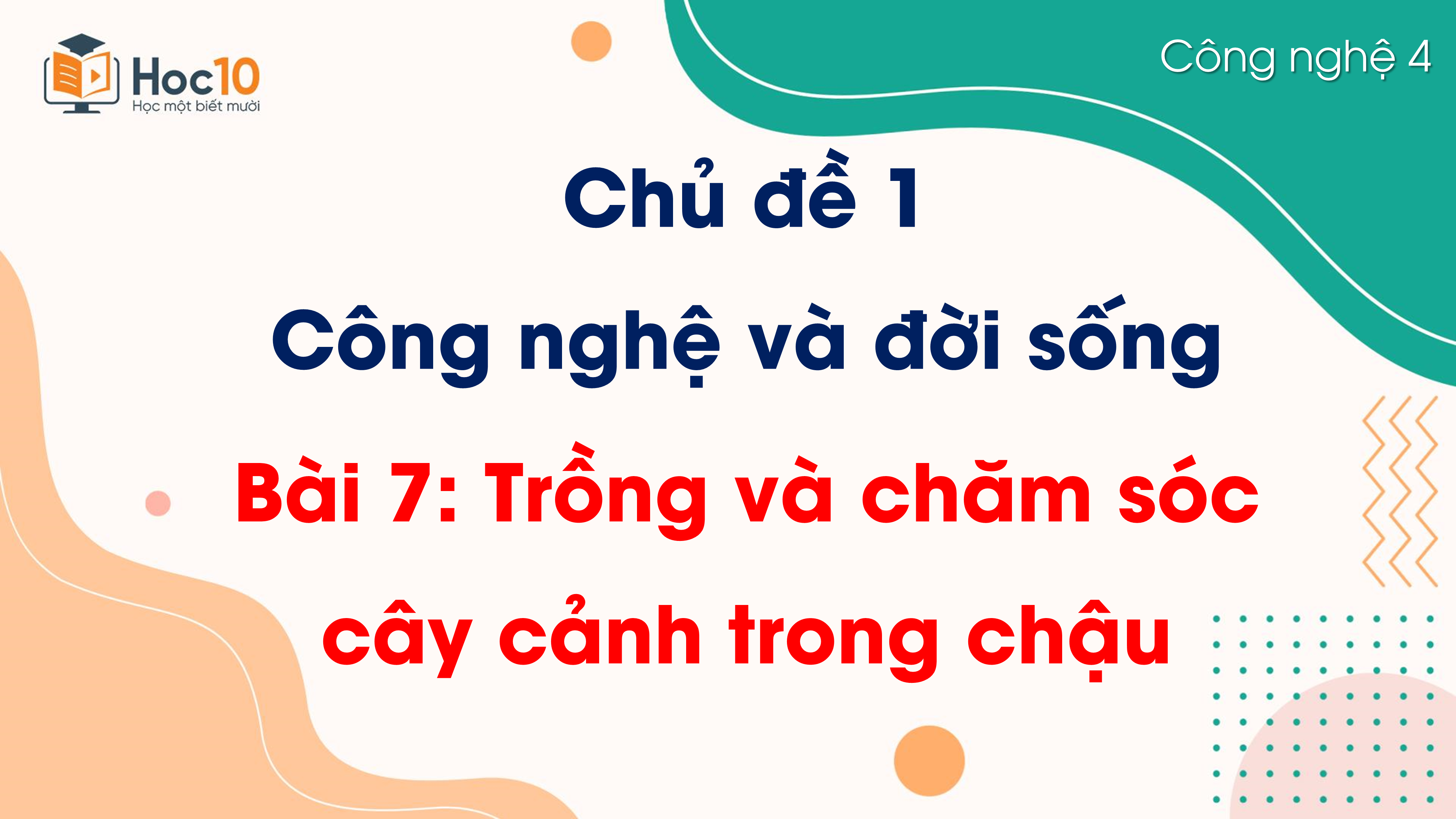 Chủ đề 1 - Bài 7 Trồng và chăm sóc cây cảnh trong chậu